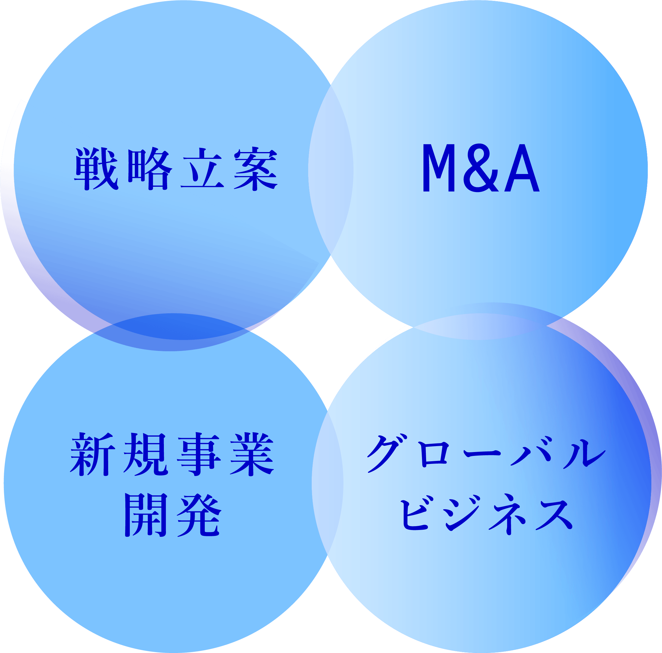 戦略立案、M&A、新規事業開発、グローバルビジネス